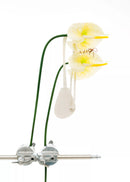 KEY HOLDER MILK